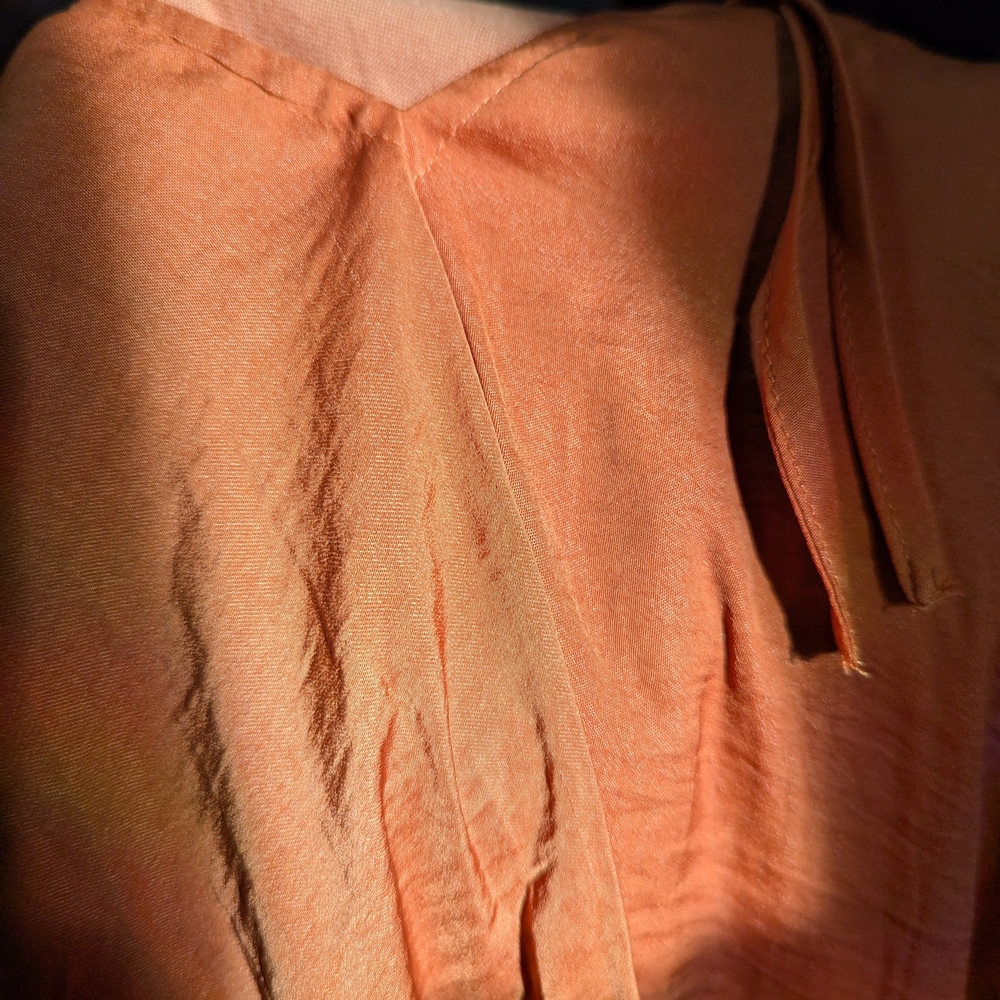 Women's Orange/Rust Ruffle Sleeve Top - Picture 4 of 4
